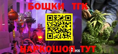 индика Кунгур